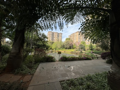 3室2廳2陽臺 西南海天璽苑其他