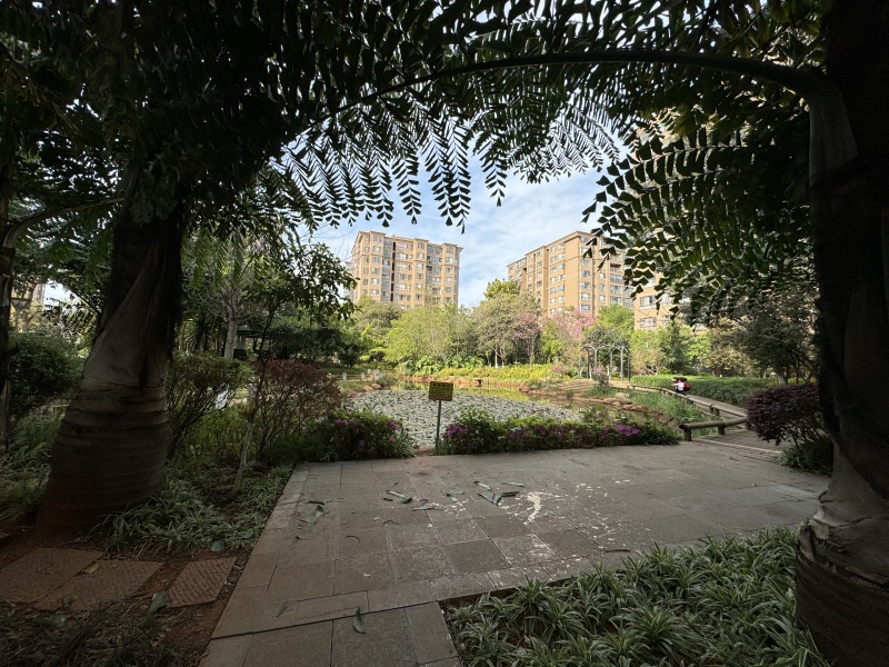 3室2廳2陽臺 西南海天璽苑其他