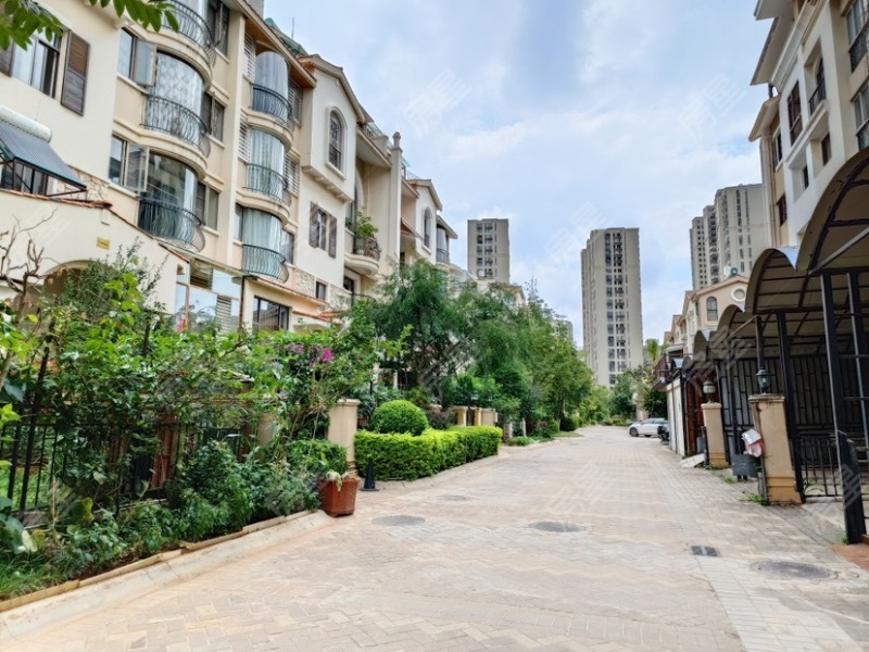 5室2廳3陽臺(tái) 香檳小鎮(zhèn)別墅其他