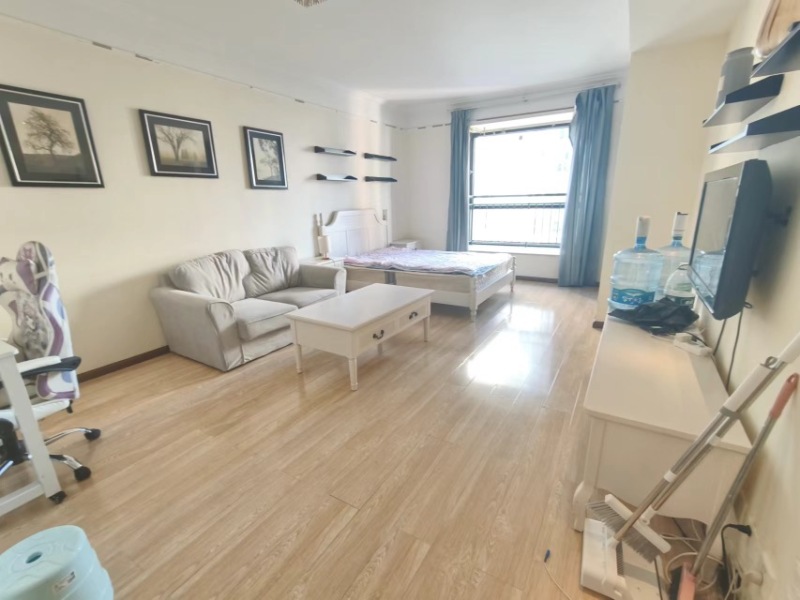 1室1廳1陽臺 中央麗城客廳