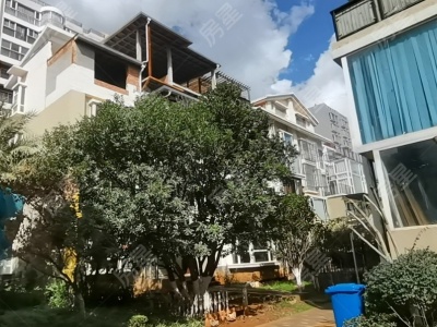 5室2廳2陽臺 金路苑