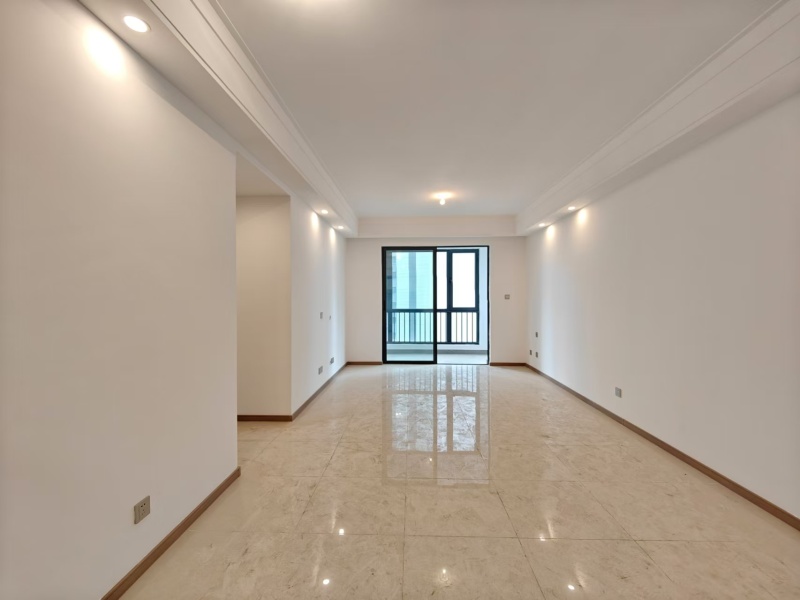 3室2廳2陽(yáng)臺(tái) 大華公園天下東湖苑客廳