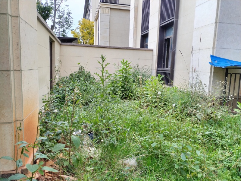 7室2廳3陽臺 昆明融創(chuàng)文旅城九云府南區(qū)別墅自家花園