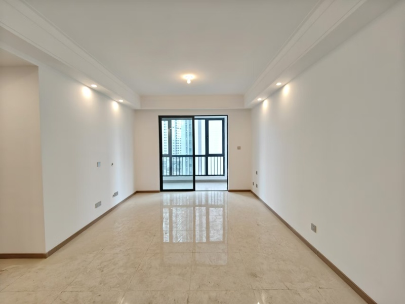 3室2廳2陽(yáng)臺(tái) 大華公園天下東湖苑客廳