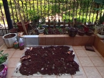 5室2廳2陽臺(tái) 林泉智苑別墅自家花園