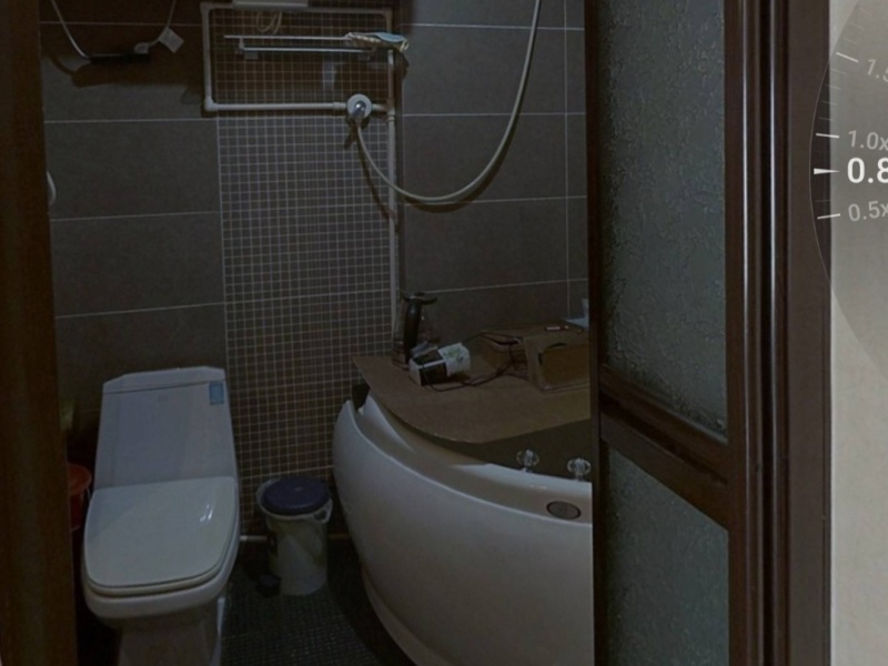 5室2廳2陽臺(tái) 林泉智苑別墅衛(wèi)生間