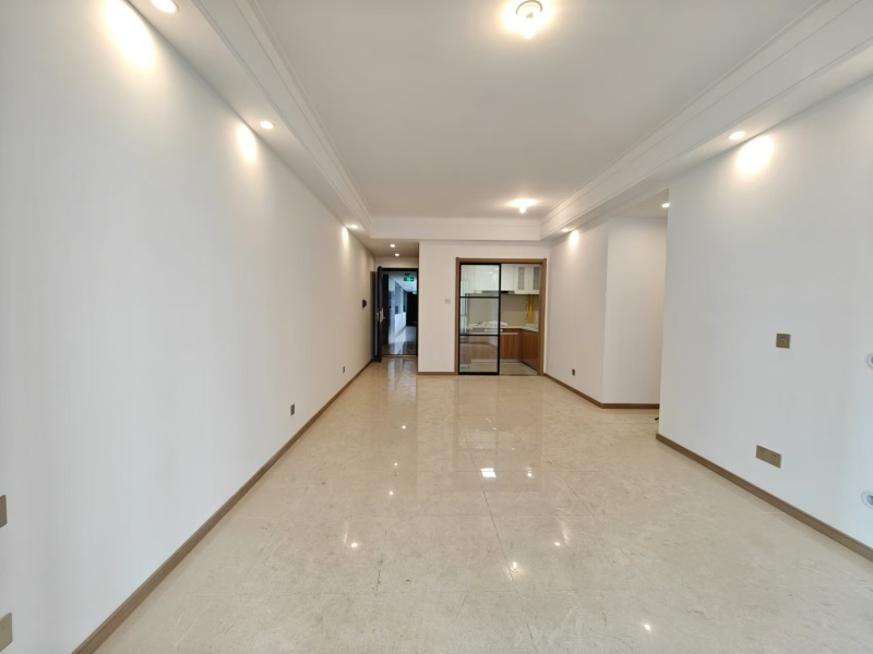 3室2廳2陽(yáng)臺(tái) 大華公園天下東湖苑客廳