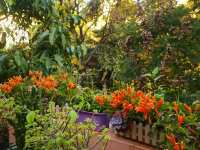 9室3廳4陽臺(tái) 云大知城一期別墅自家花園