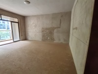 5室3廳1陽(yáng)臺(tái) 清水佳湖雅居別墅客廳