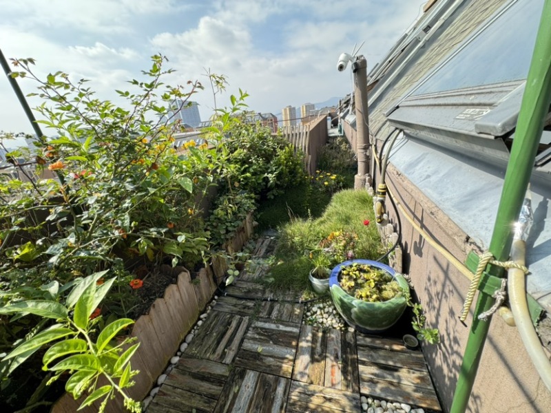 5室2廳2陽臺 保利璽樾璽公館自家花園