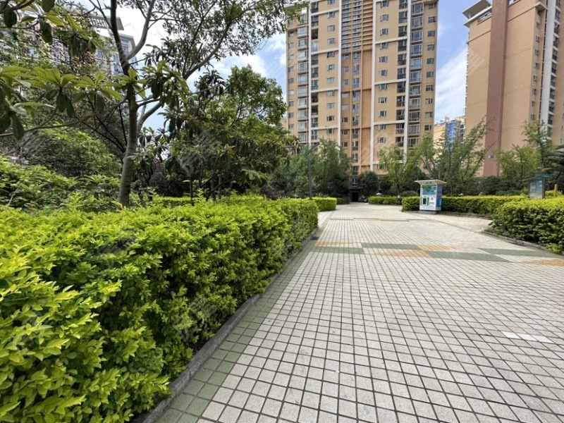 4室2廳2陽臺 世紀(jì)城華春苑其他