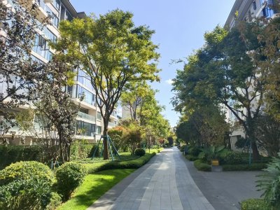4室2廳2陽臺 中鐵諾德山海春風A12地塊其他