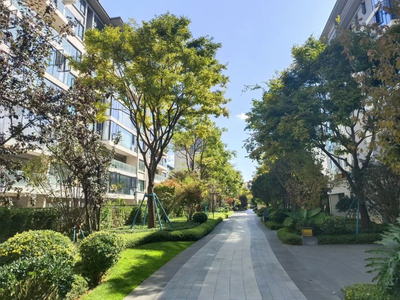 4室2廳2陽臺 中鐵諾德山海春風A12地塊其他