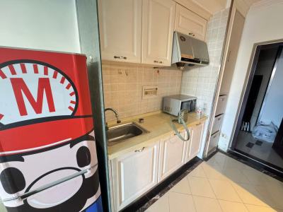 1室1廳1陽臺 中央麗城