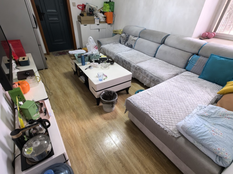 2室2廳1陽臺 麻線營小區(qū)客廳