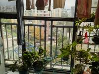 3室2廳2陽(yáng)臺(tái) 紅星國(guó)際檀宮陽(yáng)臺(tái)