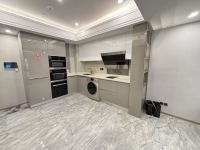 2室2廳 俊發(fā)逸天峰公寓廚房