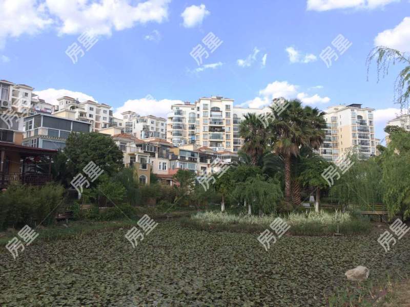 玫瑰湾小区其他
