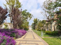 5室2廳3陽臺 昆明恒大云璽別墅其他