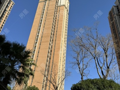 5室2廳1陽臺 新亞洲星辰園