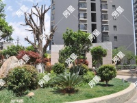 3室2廳1陽臺 金泰上苑其他