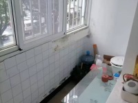 1室1廳1陽臺 和平村10號客廳