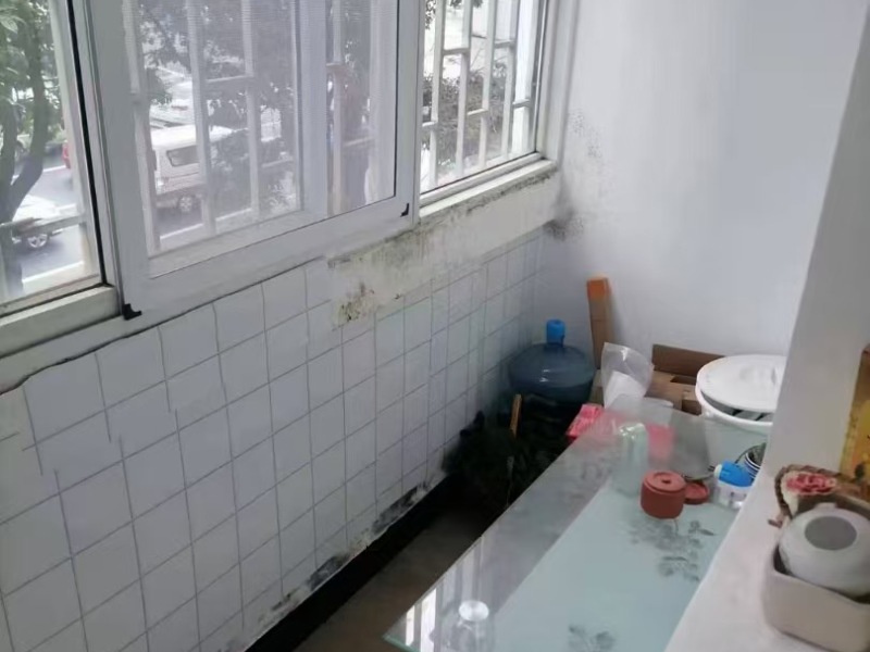 1室1廳1陽臺 和平村10號客廳