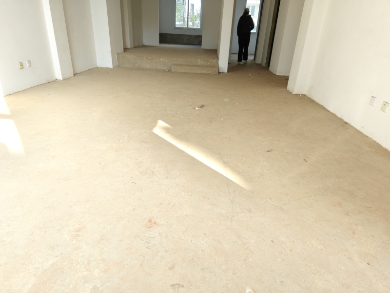 6室3廳5陽(yáng)臺(tái) 海韻楓丹別墅客廳