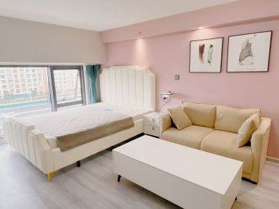 1室1廳1陽臺 萬彩城四期