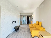 2室2廳1陽臺(tái) 候谷花園客廳