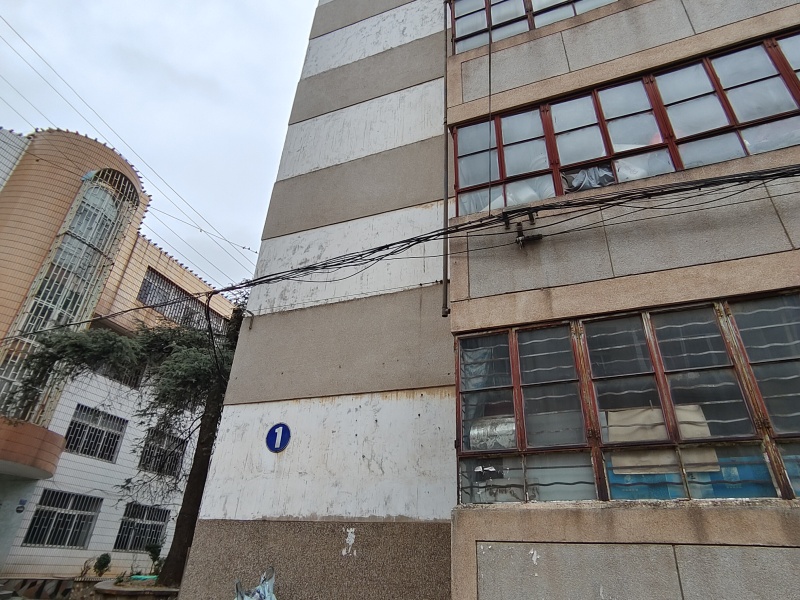 3室2廳2陽(yáng)臺(tái) 農(nóng)墾物流宿舍自家花園