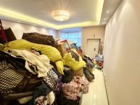 6室3廳2陽臺 金色維也納花園別墅客廳