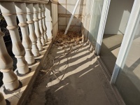 6室3廳5陽(yáng)臺(tái) 海韻楓丹別墅陽(yáng)臺(tái)