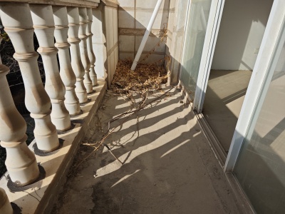 6室3廳5陽(yáng)臺(tái) 海韻楓丹別墅陽(yáng)臺(tái)