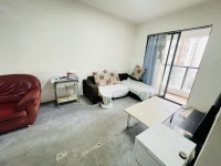 3室2廳1陽臺(tái) 金曇花園客廳