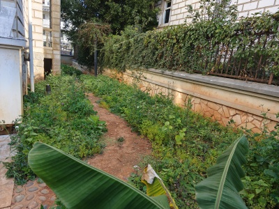 6室3廳5陽(yáng)臺(tái) 海韻楓丹別墅自家花園