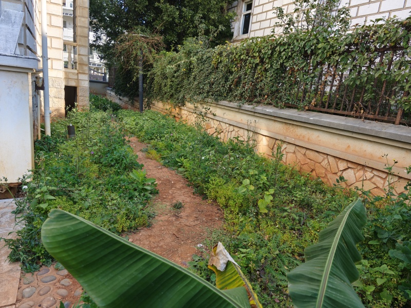 6室3廳5陽(yáng)臺(tái) 海韻楓丹別墅自家花園