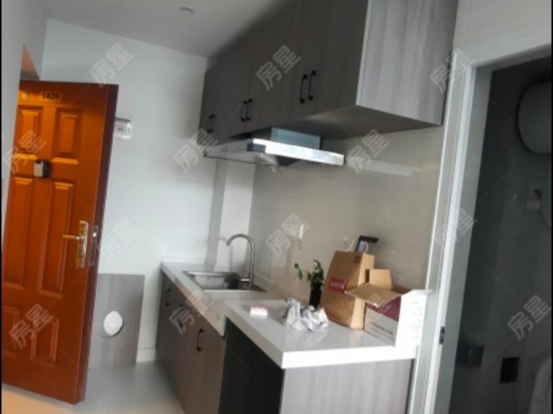 1室1陽臺 中房路易公元公寓客廳