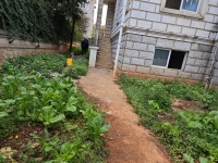 6室3廳5陽(yáng)臺(tái) 海韻楓丹別墅自家花園