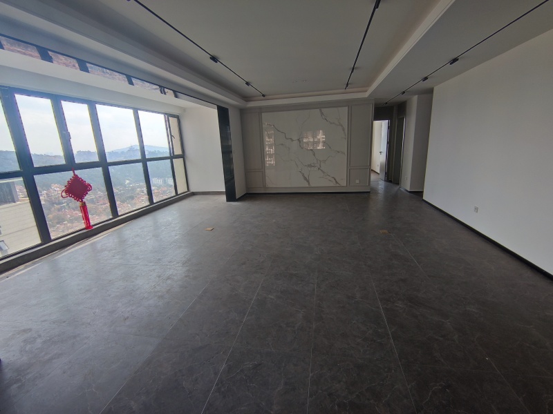 4室2廳 華夏金地世博一號(hào)客廳