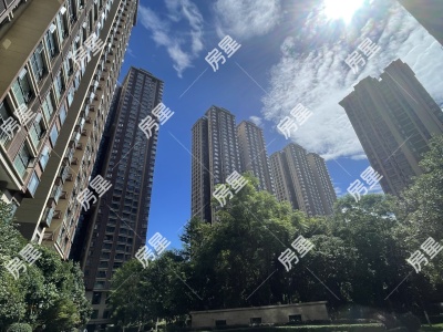 3室2廳1陽臺 新希望希望匯