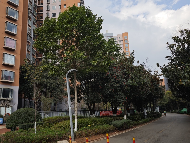 5室2廳2陽臺 新亞洲星云園小區(qū)平面圖