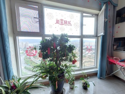 3室2廳1陽臺 恒大翡翠華庭