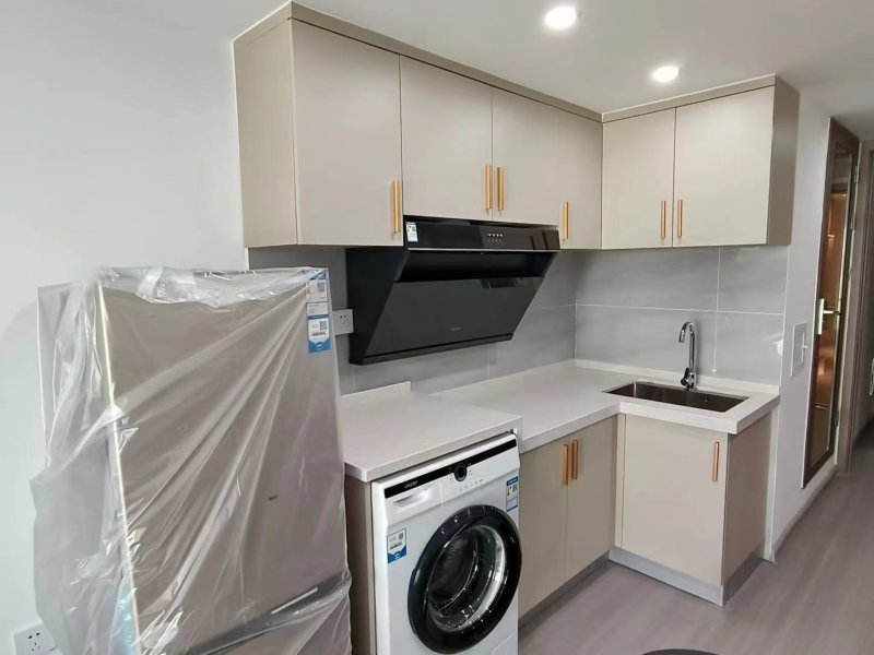 2室2廳1陽(yáng)臺(tái) 海倫堡中央廣場(chǎng)公寓其他