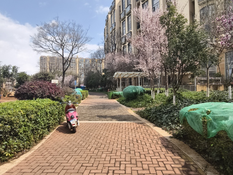 新亚洲星体花园南区自家花园