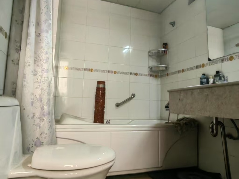 5室2廳3陽(yáng)臺(tái) 麗陽(yáng)星城一期衛(wèi)生間