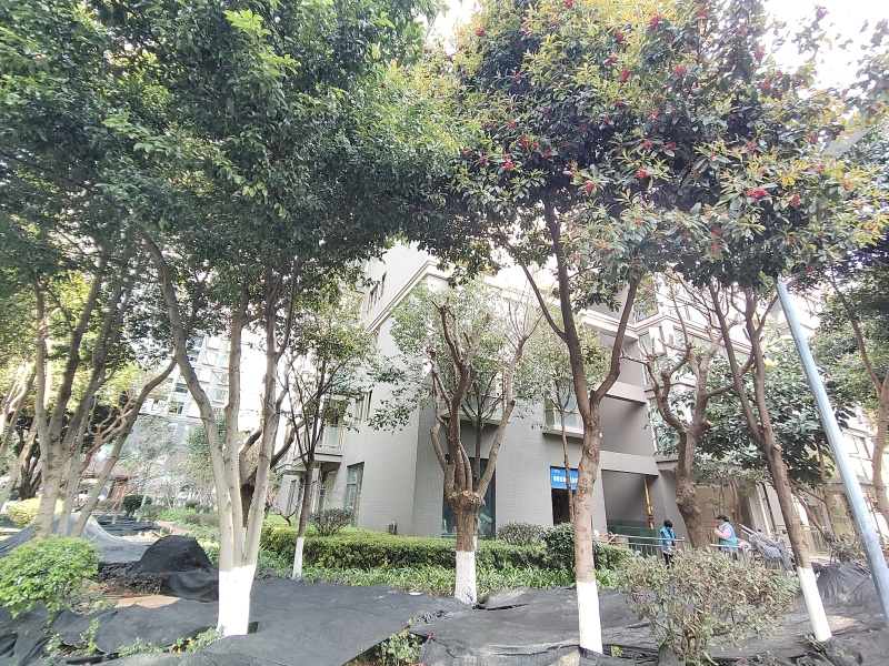 4室2廳2陽臺(tái) 金馬悅城其他