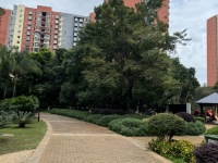 4室2廳1陽臺 新亞洲星宇園小區(qū)平面圖