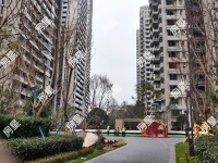 3室2廳 新希望觀瀾匯其他