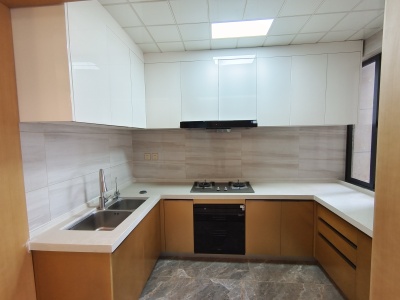 3室2廳2陽(yáng)臺(tái) 江東境界